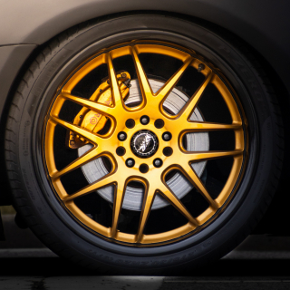 Gold_Rim